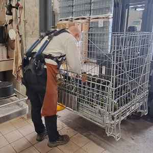Exosquelette EXOVITI utilisé en cave pour la mise en bouteille