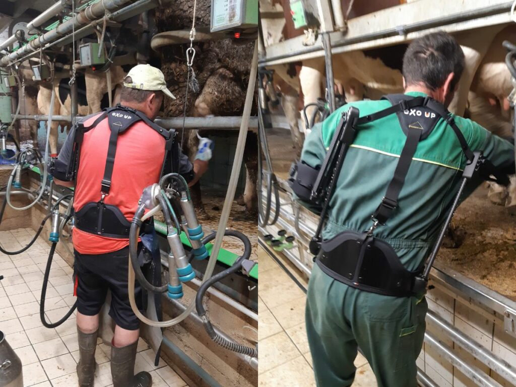 L'exosquelette EXO UP RB3D au servie des éleveurs laitiers pour la traite